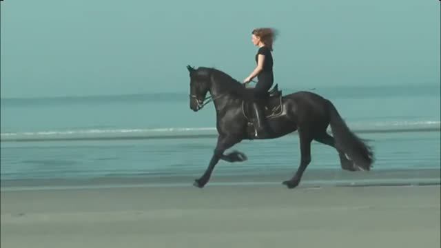 Девушка с конем. Стихи, декламация и видеомонтаж - Евгений Доставалов