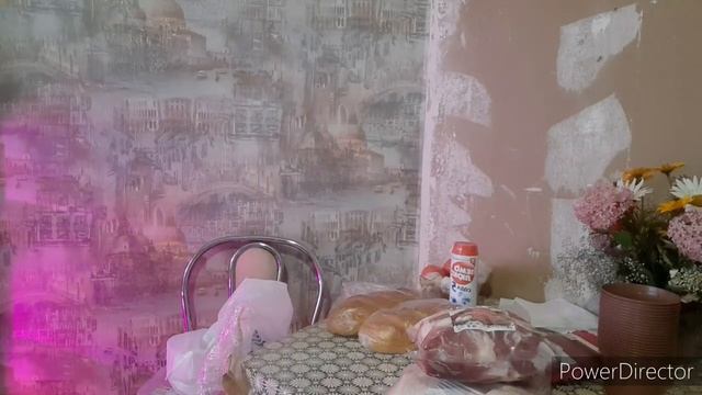 Влог/Крутим котлеты и полим огород))