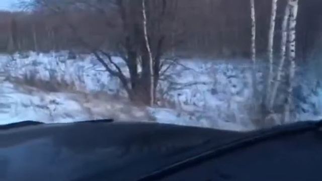 Вот это охота