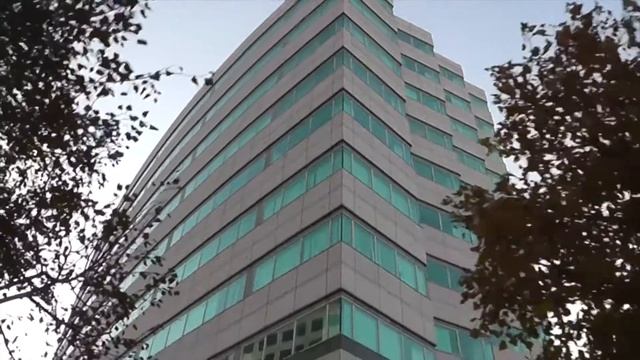 ПО США - Стэмфорд