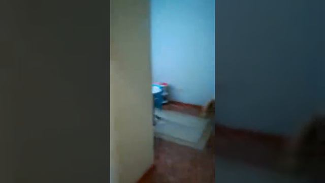 video 0 02 05 c1de7983d20a10ef03b4253eea25c55fad55f4cc340fec6420cb86c0dba0c9e9 V