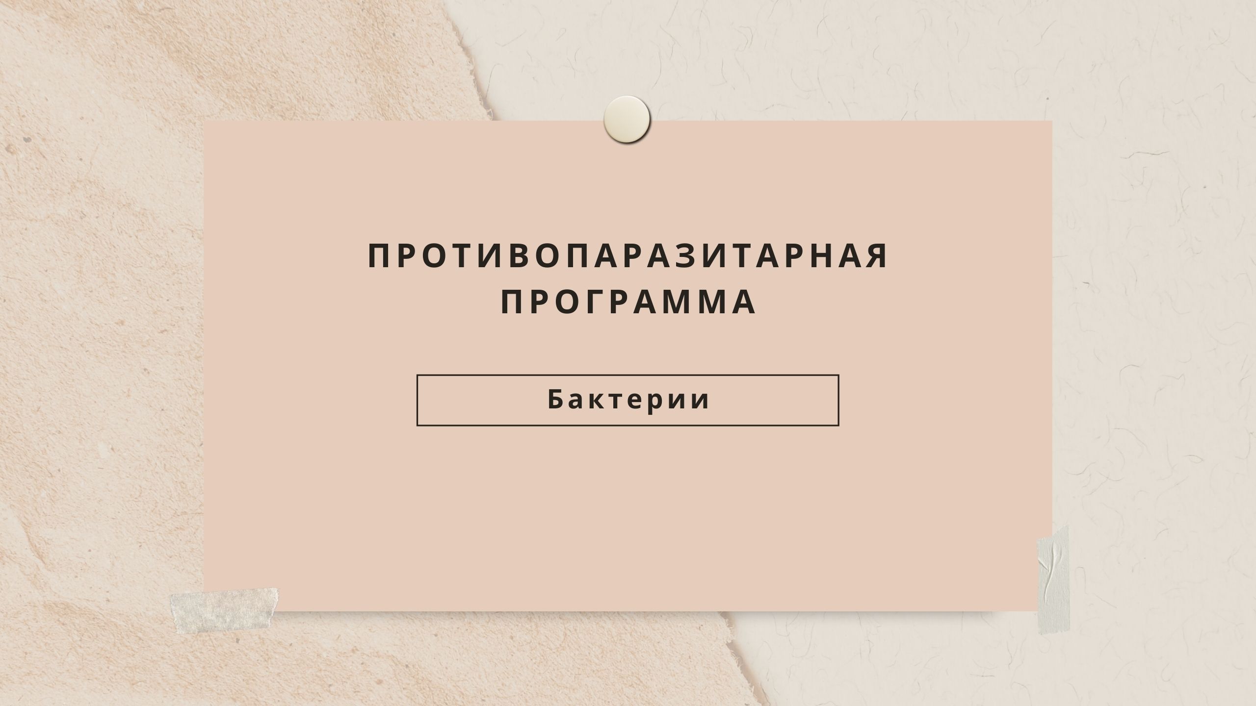 БАКТЕРИИ. Виды, борьба, диагностика..mp4