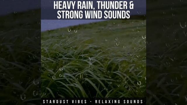 Heavy Rain, Thunder and Strong Wind Sounds