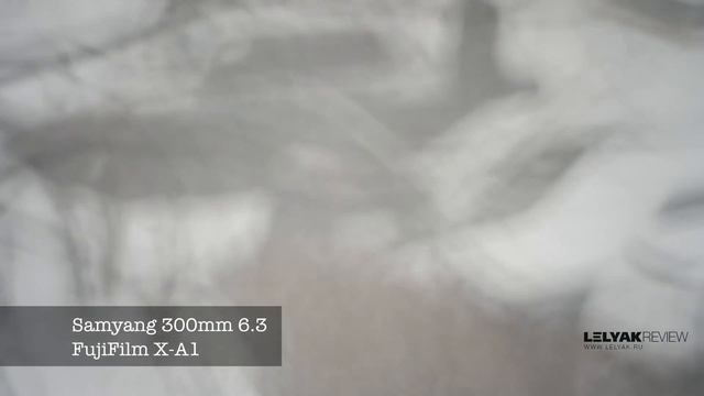 Обзор объектива Samyang 300mm 6.3
