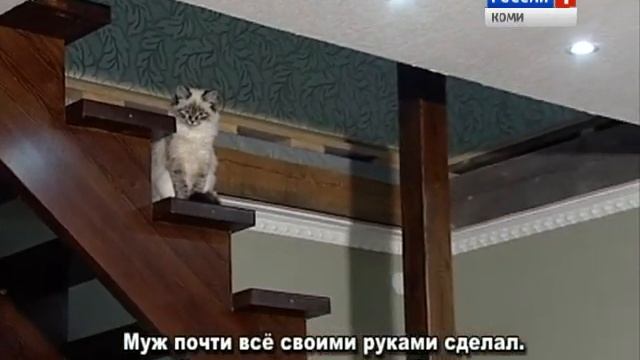 Финно-угорский мир 14.02.2017