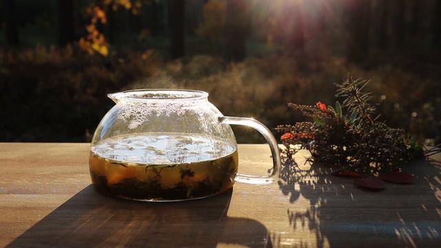 Healthy & Tasty Fall Tea🍂☕COZY DRINK IDEAS