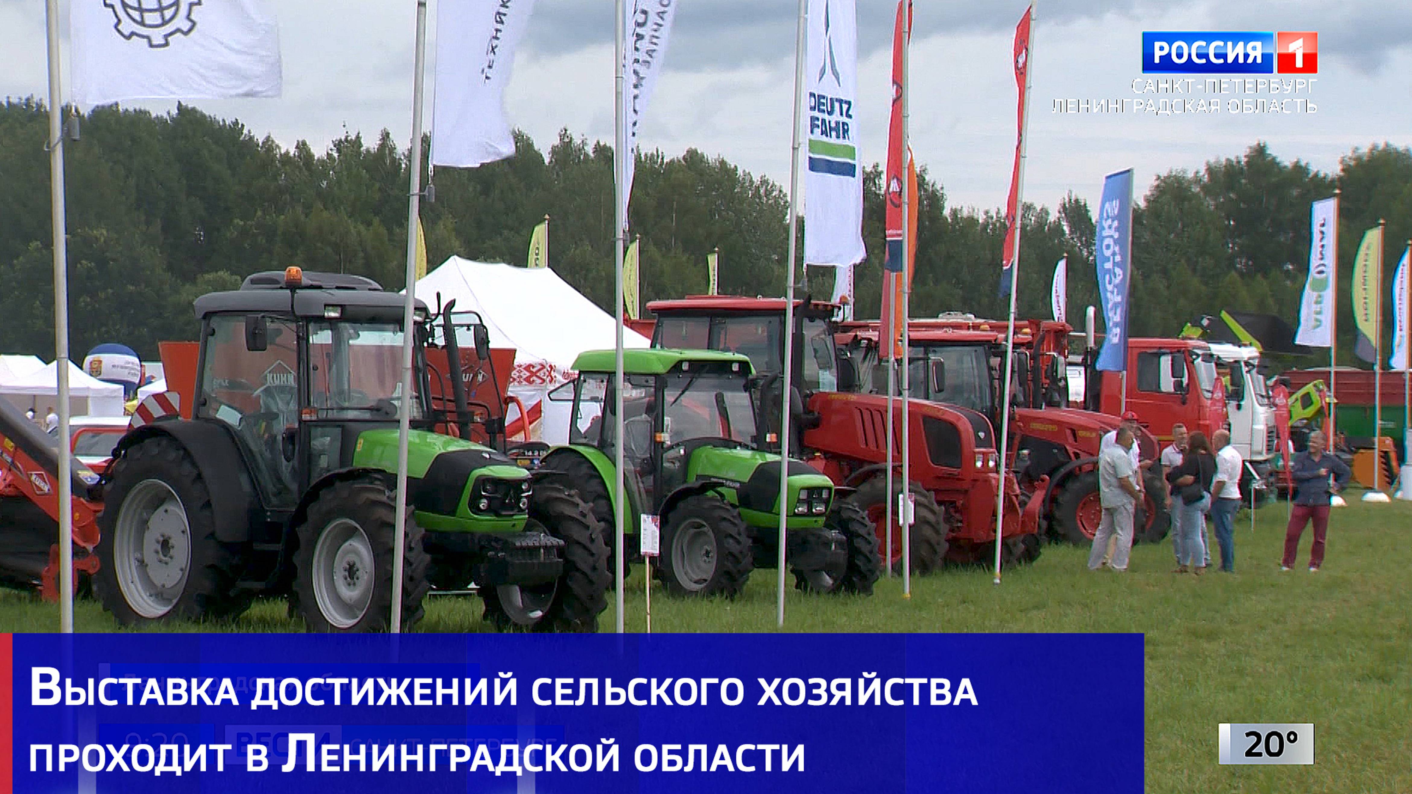Выставка достижений сельского хозяйства проходит в Ленинградской области