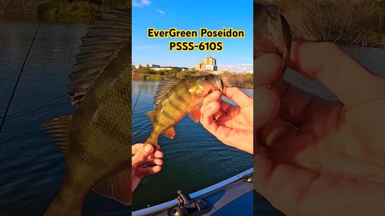 Микроджиг на EverGreen Poseidon PSSS-610S. #fishing #рыбалка #микроджиг #evergreen #poseidon