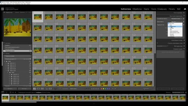 Быстрая коррекция в модуле Библиотека Adobe Lightroom