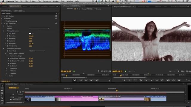 ColorFast: Secondary Correction | Tutorial