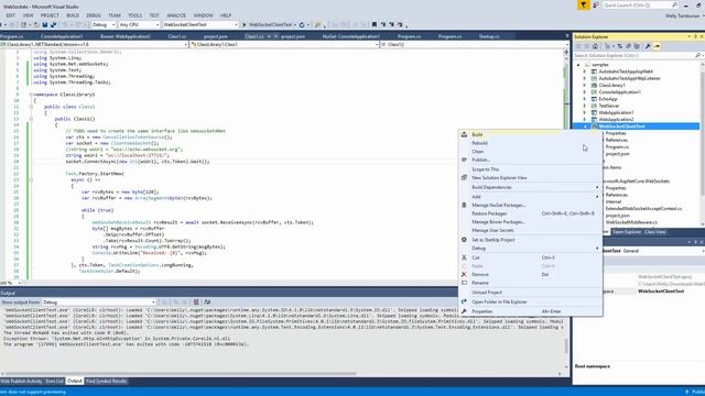 ASP .NET Core Websocket