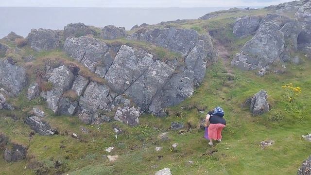 Морские котики в Clogherhead Headland Ирландия. Путешествие в Северную Ирландию. Мой путь Надежды