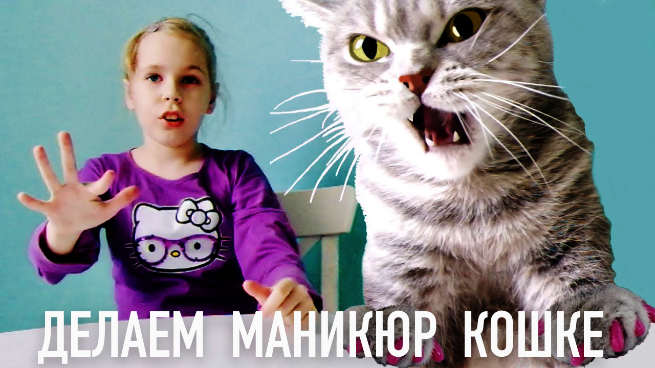 АнтиЦАРАПКИ Кошка рвет в клочья! Слабонервным не смотреть..mp4