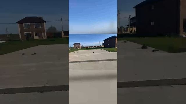 Можно ли оставлять фундамент на зиму?