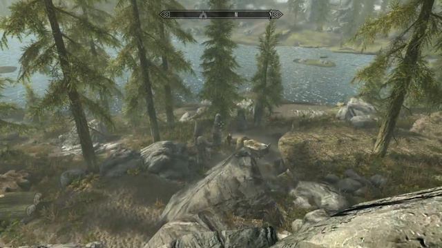 Not In My Back Yard