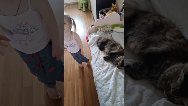 Котик прости меня 😿 #shorts #дети #кот #котик #детииживотные