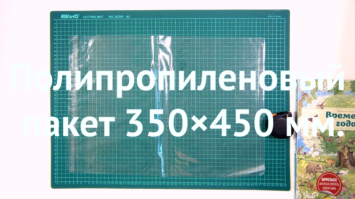 ПП пакет с клапаном и скотчем 350×450