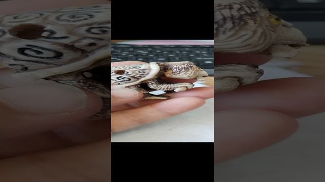 Нэцкэ каппа.