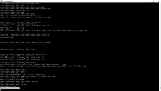 How To Install Oracle Database Patch RU 19.15.0.0.220419 April 2022 On Oracle 19c