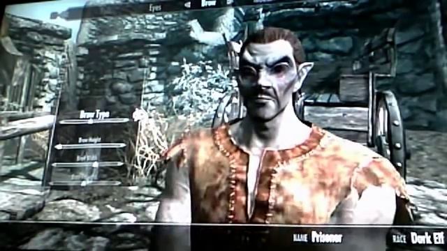 Skyrim: Best looking Dark elf