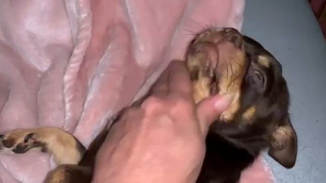 Всем спокойной ночи и самых добрых снов.