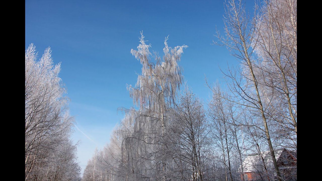 Зимняя рыбалка. С ночевкой на озере под Рождество 2019. На озере в Псковской области.