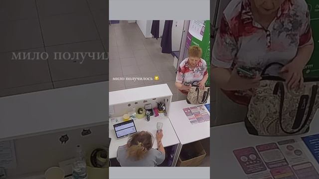 🐈Женщина в ПВЗ на просьбу показать QR-код показала своего кота🐈