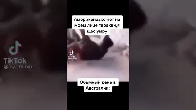 Ахахахха