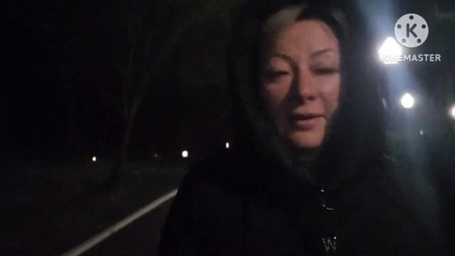 Свадебное путешествие  Поиграли в бильярд Пчелы на зимовке