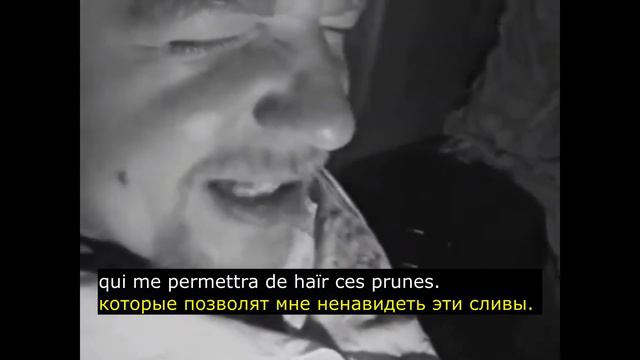 Пахом на французском. О сливах из "Кокки – бегущий доктор". Дублирование