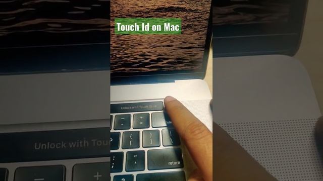 How does touch Id work on Mac?