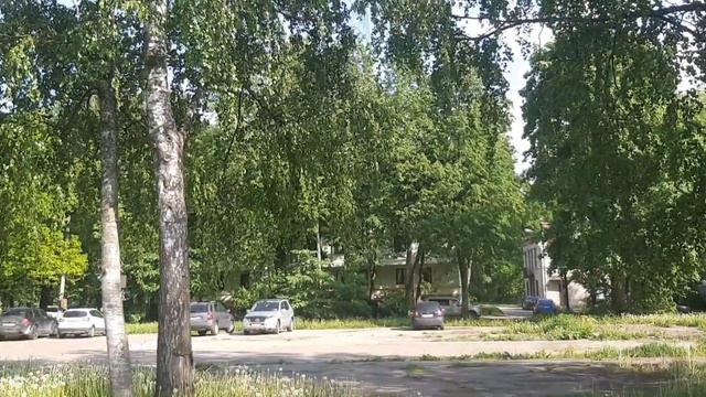 Автобус 339 "Павловск, вокзал - ВИР" ПАЗ-320435-04 "Vector Next" б/н 10012