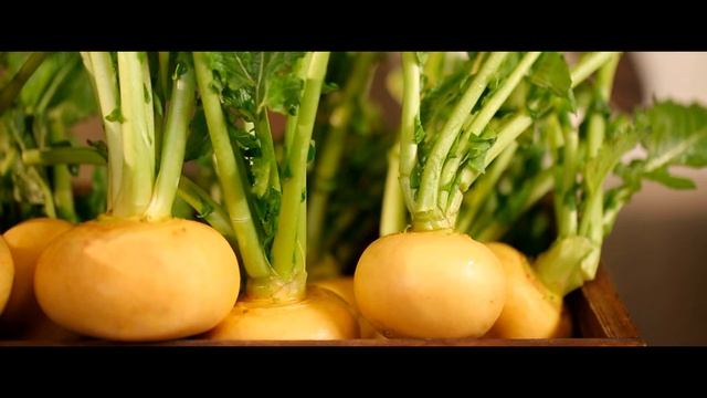 От репы до картошки