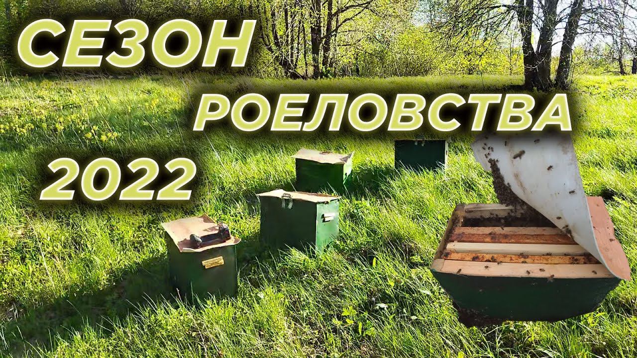 Открываю сезон роеловства 2022. Вешаем ловушки.