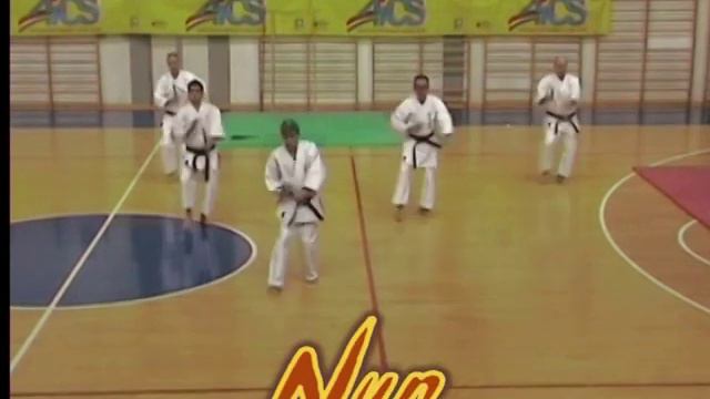 Ryukyu Kobudo Ryukonkai - Dimostrazione.mpg