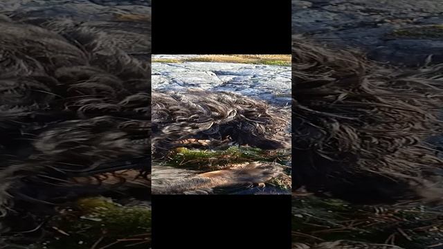 Когда очень хочется пить.