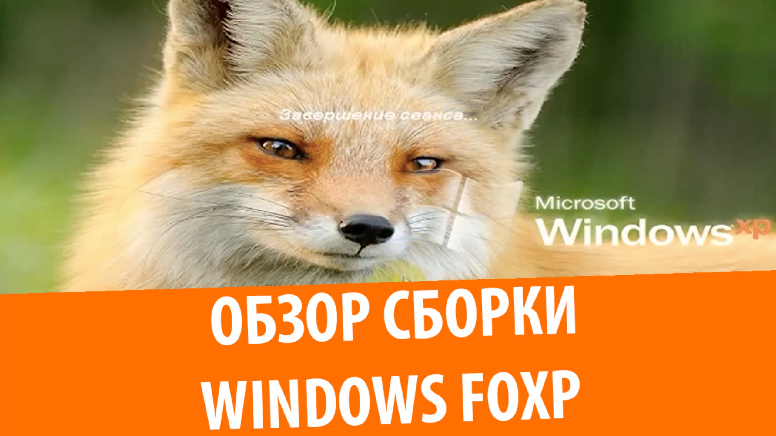 Обзор сборки Windows FoXP