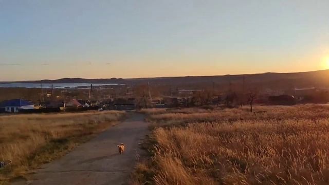 Прогулка на лошадях. Закат. Комсомольск-на-Амуре. Октябрьская природа.