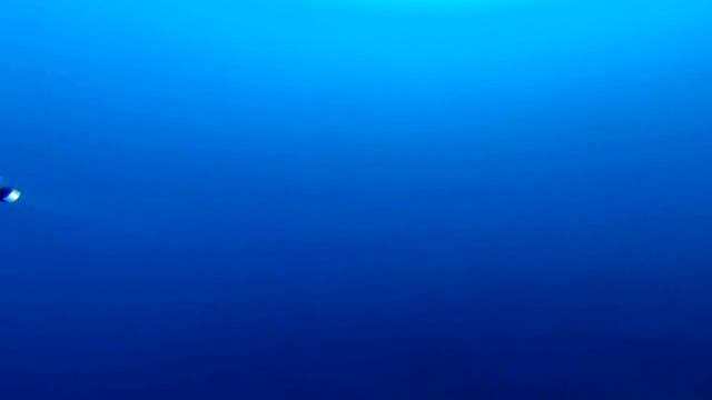 My Dahab, January 2014.