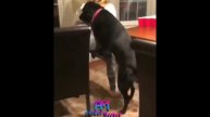 2018 Yigma prikollar 2018 Funny fails, moments 2018 ПРИКОЛЫ 2018 Yigma prikollar #prikolmarket