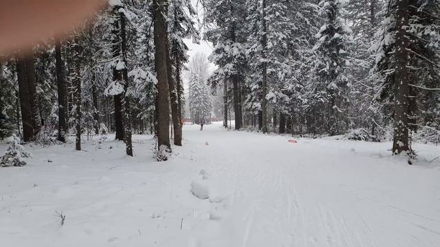 Чемпионат России по лыжным  гонкам г. Чусовой  - Александр Большунов , Сергей Устюгов