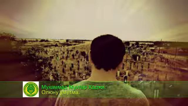 Мухаммад Мухтар Хаджи олюну умутма
