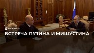 Встреча Путина и Мишустина