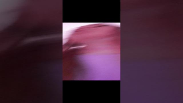 1000002665.mp4