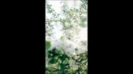 15-Minute Meditation For Self Love | Calm