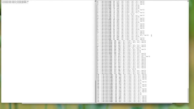 OpenDX on mac with Docker running NMR relax dx.map for modelfree analysis