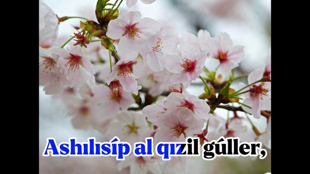ASHIRBAEVA DILDARA.GÚLLERIM BALALAR QOSIQLARI.
