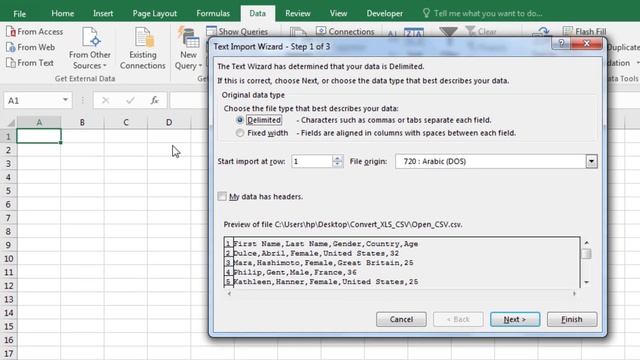 How to open CSV file in Excel