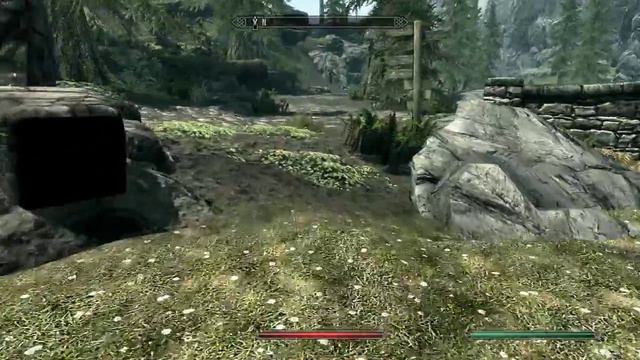 Skyrim 30 fps WalkThrough #2