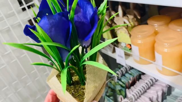 Фикс Прайс 🍀Новинки🌸СИН 😱Супер новинки🔥💐